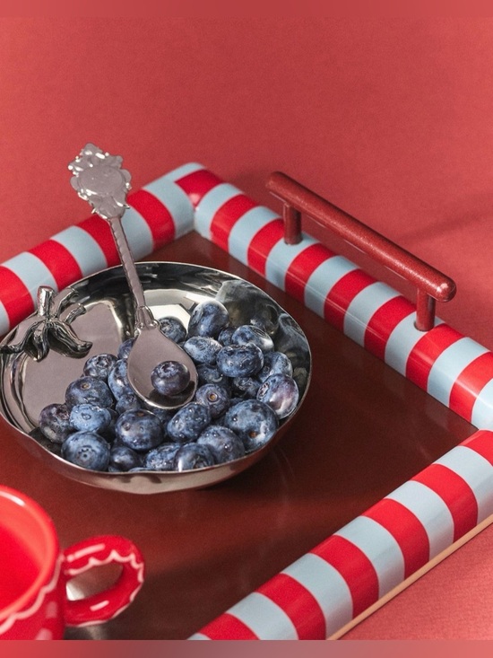 Anthropologie Other - Anthropologie Damson Madder Steel Tomato Nut Bowl NEW